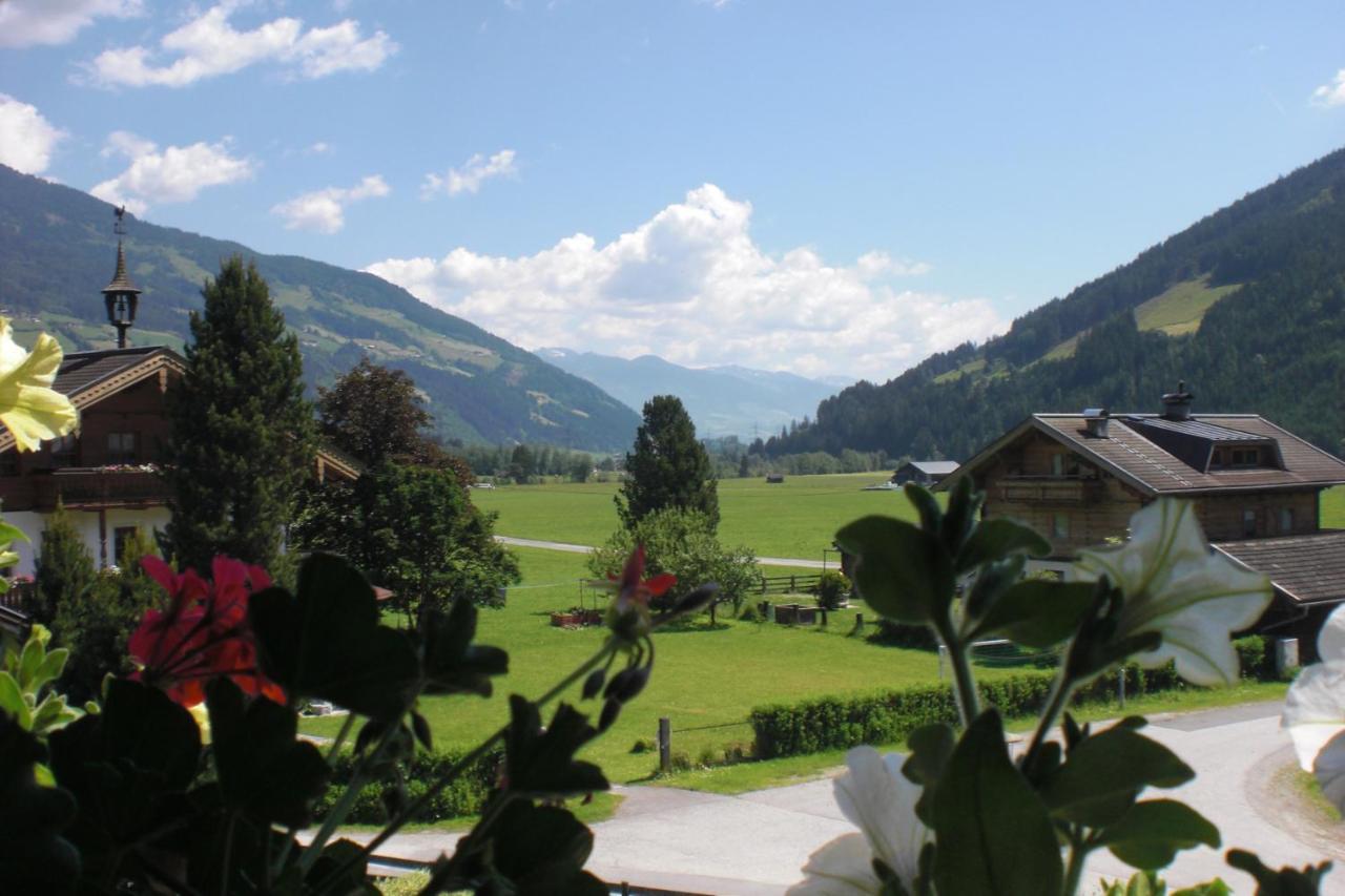 Naturpension Muehlhof Neukirchen am Großvenediger エクステリア 写真